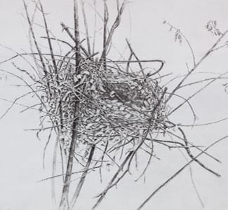 Meredith Fine Craft Gallery
