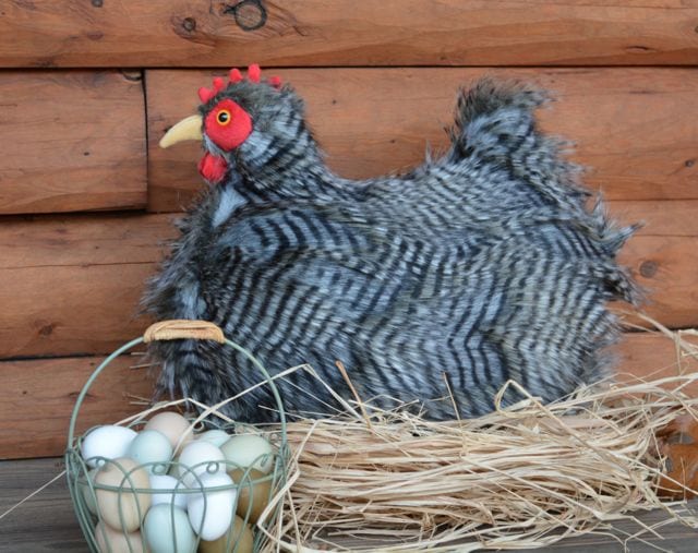 Meredith Fine Craft Gallery