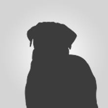 Meredith Fine Craft Gallery